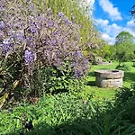 Bed & Breakfast Le Logis De Pitry Thierville